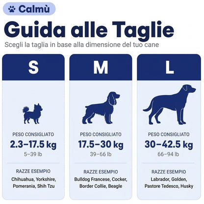 CalmùEars™